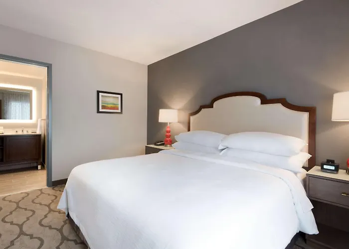 Embassy By Hilton Chicago 4*